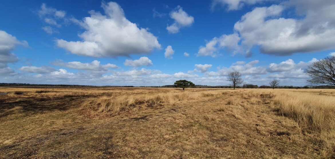 Autopuzzeltocht rondom Appelscha