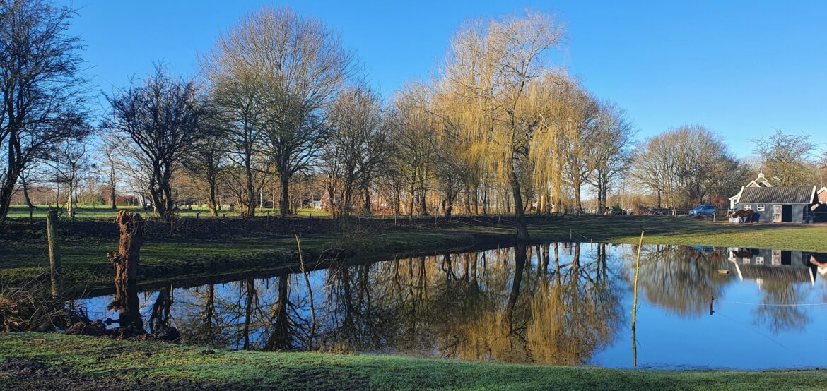 Poel Wat is onze waterplas