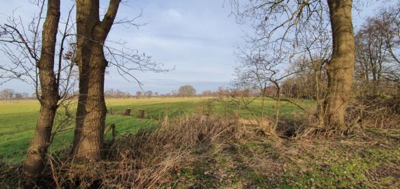 Wandelroutes in het Westerkwartier: Leedaanzeggerspad Noordwijk