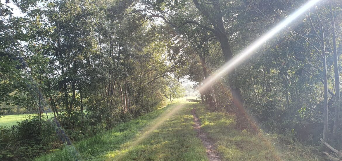 Wandelroute Eastermar Doarpskuierkes Eastermar