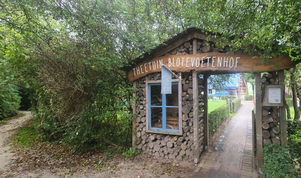 Theeworkshop bij theetuin Blotevoetenhof