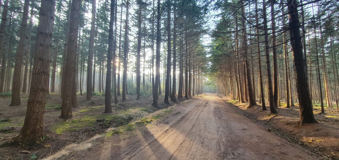 Wandelen in Bakkeveen