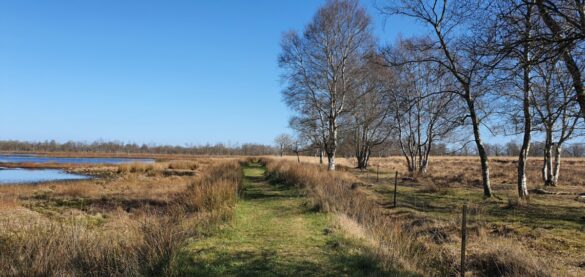 Trimunt wandelen