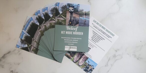 Blog promoten