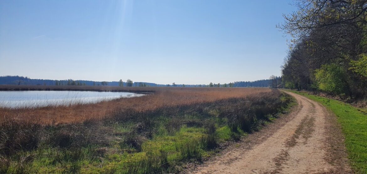 Wandelroute Duurswouderheide