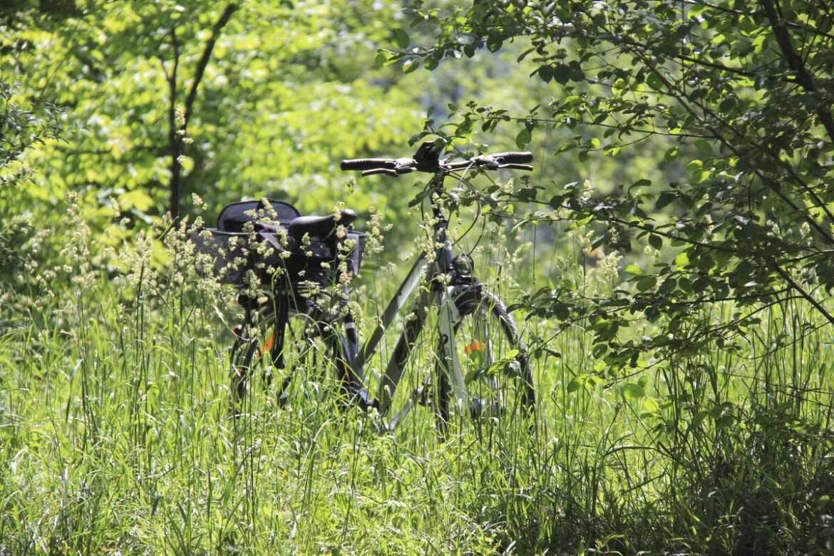 Fietsvakantie in Groningen Fietsvakantie in Groningen