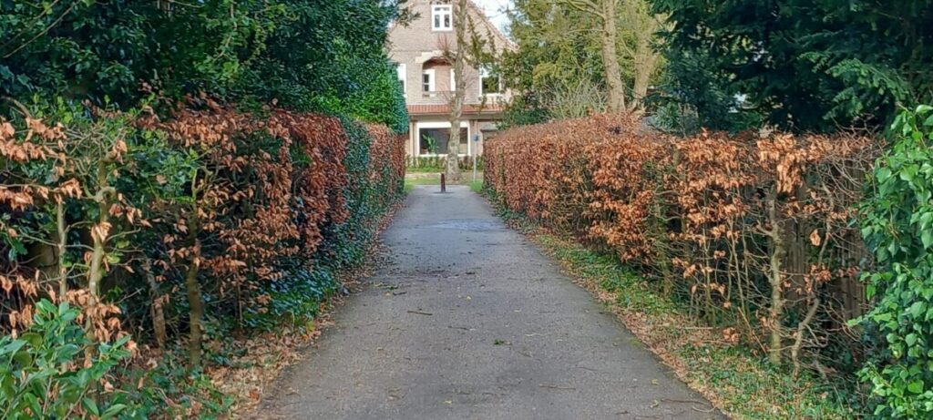 Historische wandelroute Haren