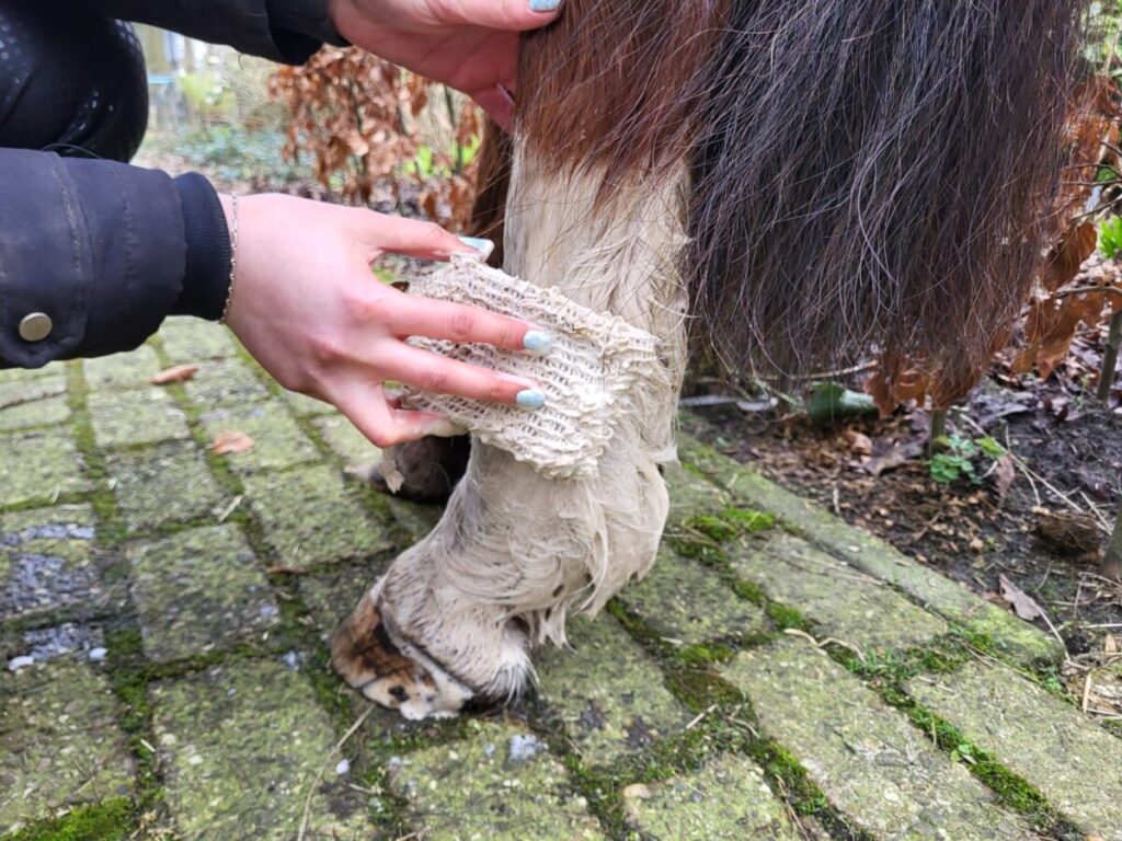 Ervaring Pippa zeep paarden