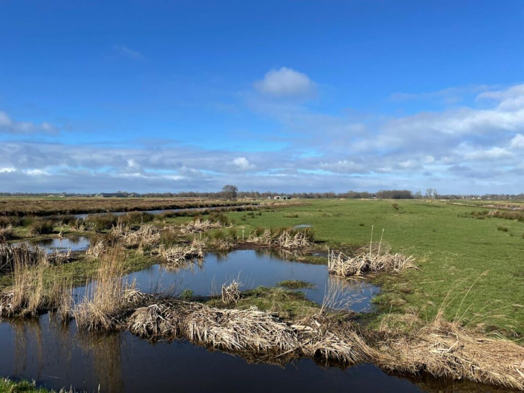 autopuzzeltocht van Local Groningen