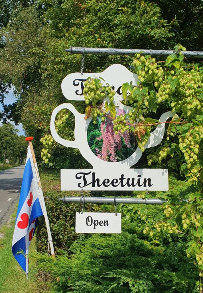 Theetuinen op de fietsroute