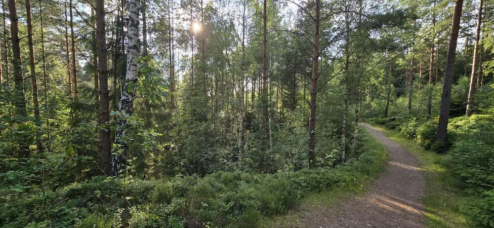 Tips wandelrugzak kopen