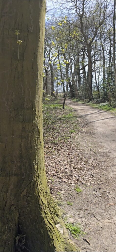 Fraeylemaborg Wandelen